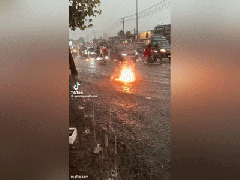 Ảnh bìa bài viết 960135