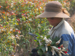 Ảnh bìa bài viết 960424