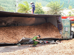 Ảnh bìa bài viết 960742