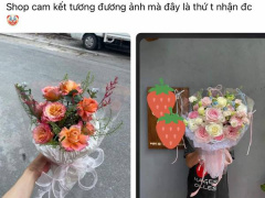 Ảnh bìa bài viết 960868