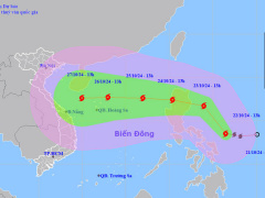 Ảnh bìa bài viết 961058