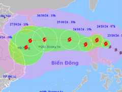 Ảnh bìa bài viết 961254