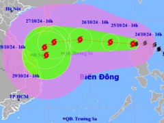 Ảnh bìa bài viết 961413