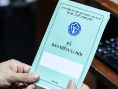 Ảnh bìa bài viết 961493