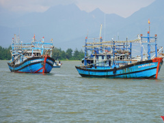 Ảnh bìa bài viết 961528