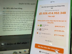 Ảnh bìa bài viết 961684