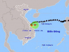 Ảnh bìa bài viết 961852