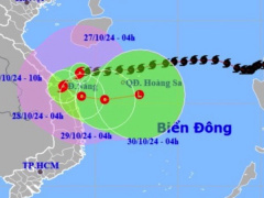 Ảnh bìa bài viết 961733