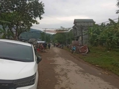 Ảnh bìa bài viết 961925