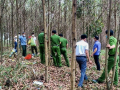 Ảnh bìa bài viết 962209