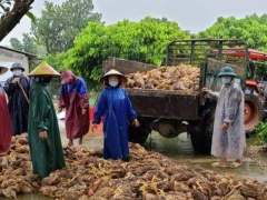 Ảnh bìa bài viết 962360