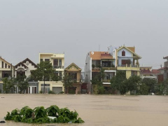 Ảnh bìa bài viết 962742