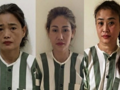 Ảnh bìa bài viết 962871
