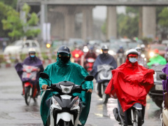 Ảnh bìa bài viết 962913