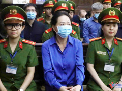 Ảnh bìa bài viết 962962