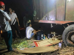 Ảnh bìa bài viết 963282