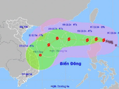 Ảnh bìa bài viết 963474