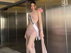 Ảnh bìa bài viết 963681