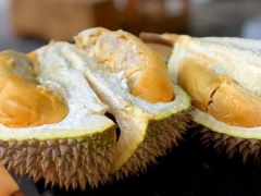 Ảnh bìa bài viết 963820