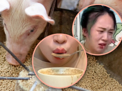 Ảnh bìa bài viết 964471