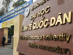 Ảnh bìa bài viết 964695