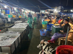 Ảnh bìa bài viết 964775