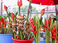 Ảnh bìa bài viết 964779