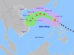 Ảnh bìa bài viết 964966