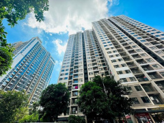 Ảnh bìa bài viết 965552