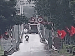 Ảnh bìa bài viết 965518