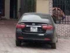 Ảnh bìa bài viết 965606