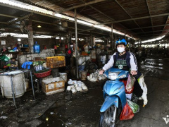 Ảnh bìa bài viết 965788