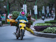 Ảnh bìa bài viết 965766