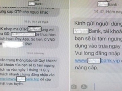Ảnh bìa bài viết 966291