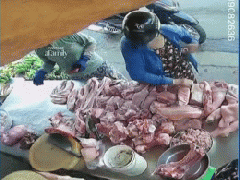 Ảnh bìa bài viết 966181