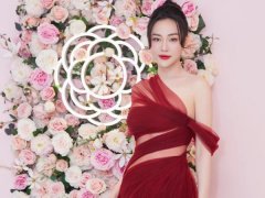 Ảnh bìa bài viết 966581
