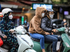 Ảnh bìa bài viết 966697