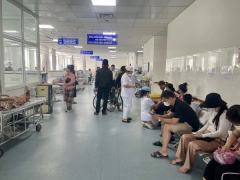Ảnh bìa bài viết 966805