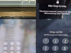 Ảnh bìa bài viết 966688