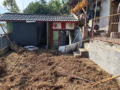 Ảnh bìa bài viết 967036