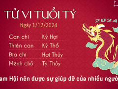 Ảnh bìa bài viết 966934