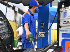 Ảnh bìa bài viết 967456
