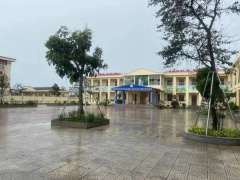 Ảnh bìa bài viết 967567