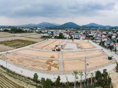 Ảnh bìa bài viết 967740
