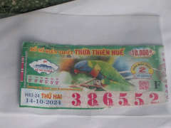 Ảnh bìa bài viết 967866