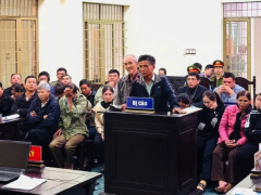 Ảnh bìa bài viết 968334