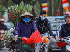 Ảnh bìa bài viết 968446