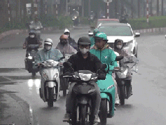 Ảnh bìa bài viết 968533