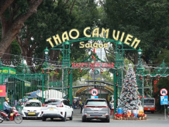 Ảnh bìa bài viết 968535
