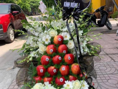 Ảnh bìa bài viết 968601